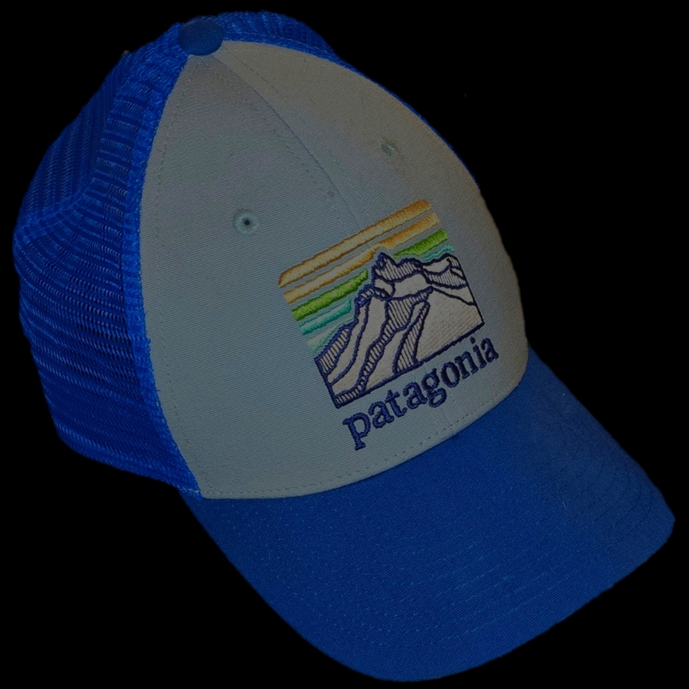 Patagonia Baseball Cap